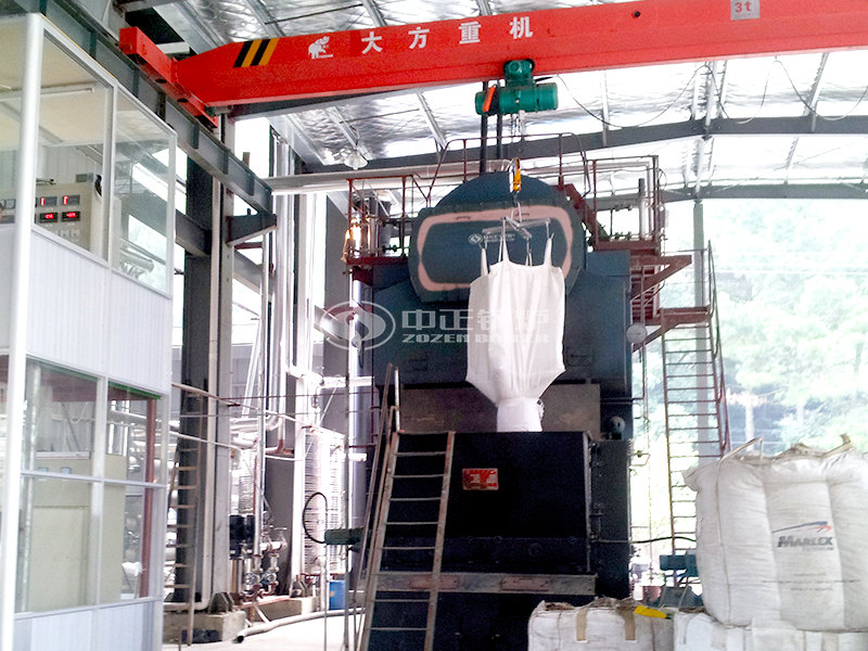 南阳6吨生物质锅炉改造方案
